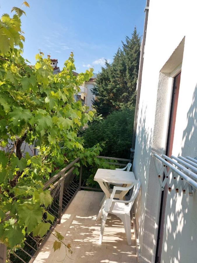 Villa Kralj Μπούντβα Εξωτερικό φωτογραφία